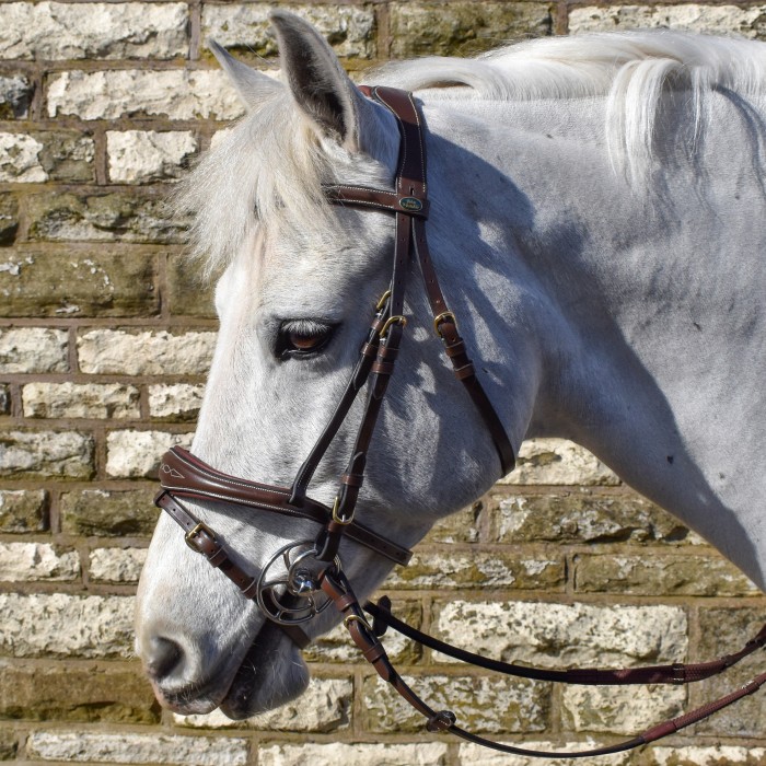BR100 Venice Bridle with Reins - Available in Cob or Full - Black or Havana, Pick'n'Mix